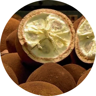 A essência de cupuaçu captura o aroma doce e envolvente dessa fruta amazônica. Reconhecida por suas propriedades hidratantes e revitalizantes, é amplamente utilizada em cosméticos e aromaterapia. Seu perfume exótico proporciona uma experiência sensorial única, promovendo relaxamento e bem-estar. Ideal para quem busca um toque de frescor e sofisticação nos cuidados diários.